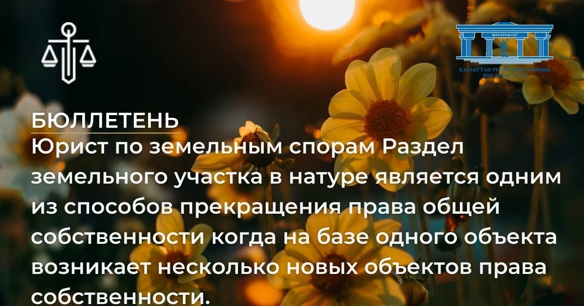 АMANAT партиясы және Заң және Құқық адвокаттық кеңсесінің серіктестігі аясында елге тегін заң көмегі көрсетілді