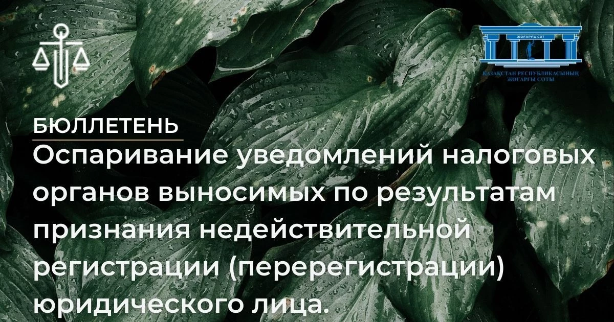 АMANAT партиясы және Заң және Құқық адвокаттық кеңсесінің серіктестігі аясында елге тегін заң көмегі көрсетілді