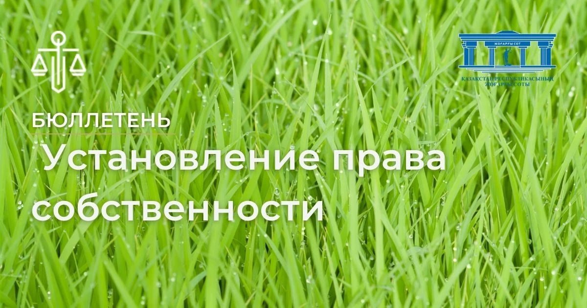 АMANAT партиясы және Заң және Құқық адвокаттық кеңсесінің серіктестігі аясында елге тегін заң көмегі көрсетілді