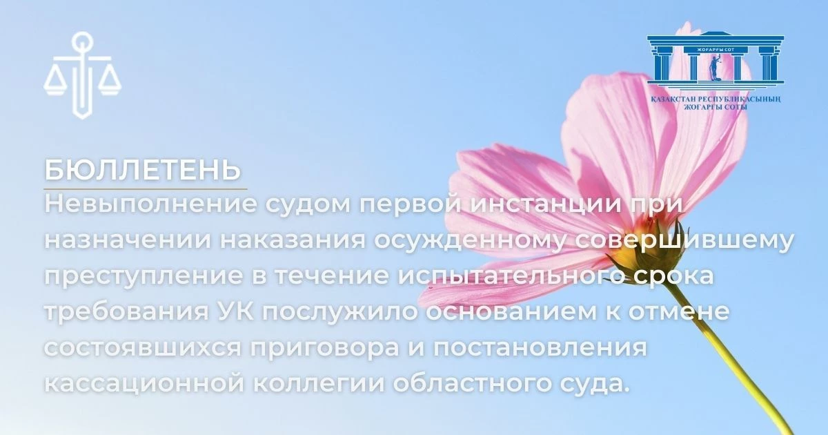 АMANAT партиясы және Заң және Құқық адвокаттық кеңсесінің серіктестігі аясында елге тегін заң көмегі көрсетілді