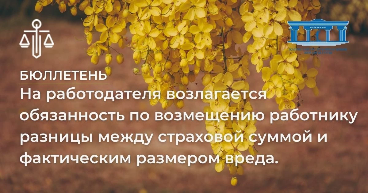 АMANAT партиясы және Заң және Құқық адвокаттық кеңсесінің серіктестігі аясында елге тегін заң көмегі көрсетілді