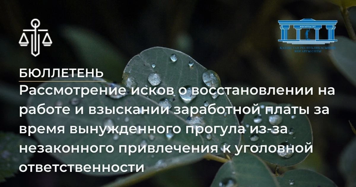 АMANAT партиясы және Заң және Құқық адвокаттық кеңсесінің серіктестігі аясында елге тегін заң көмегі көрсетілді