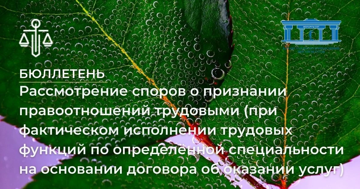 АMANAT партиясы және Заң және Құқық адвокаттық кеңсесінің серіктестігі аясында елге тегін заң көмегі көрсетілді