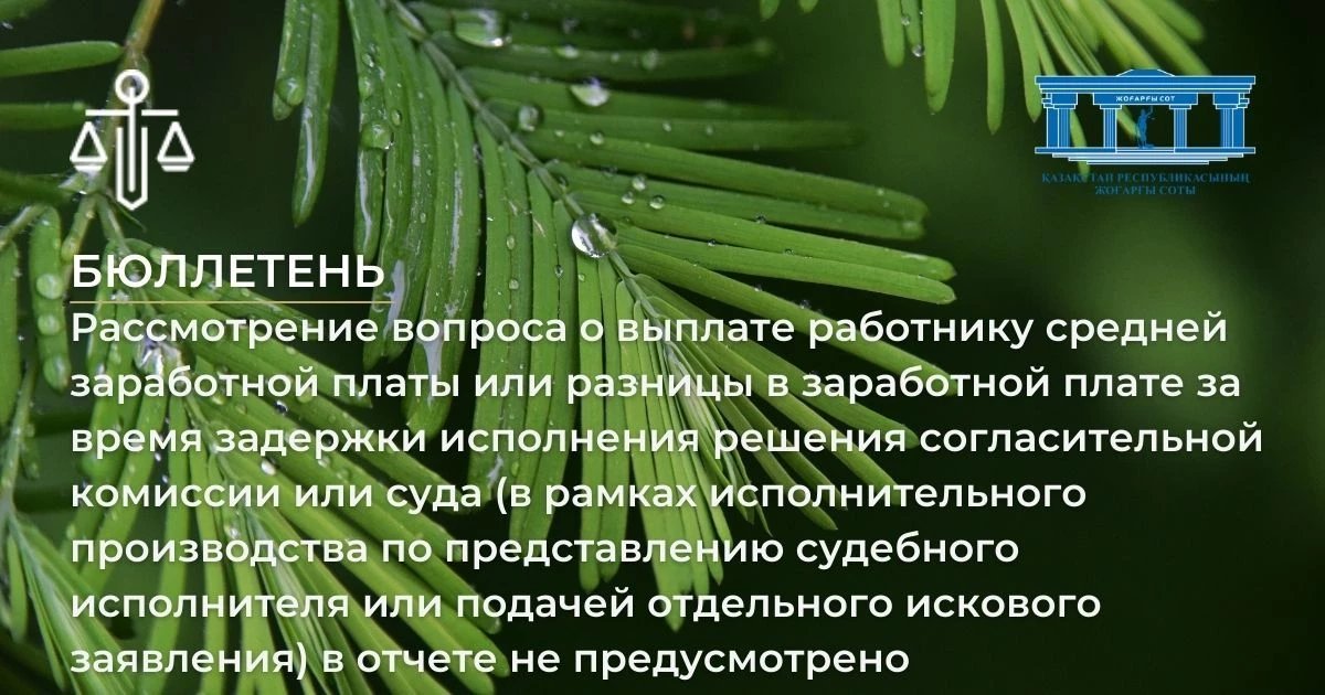 АMANAT партиясы және Заң және Құқық адвокаттық кеңсесінің серіктестігі аясында елге тегін заң көмегі көрсетілді