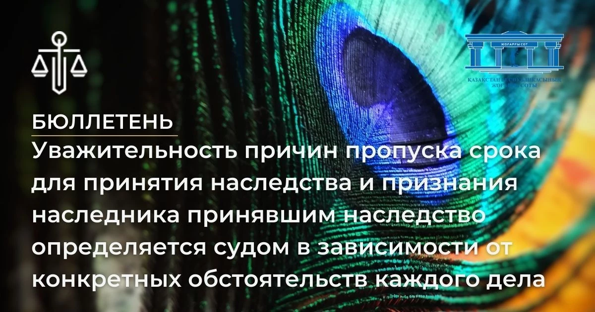 АMANAT партиясы және Заң және Құқық адвокаттық кеңсесінің серіктестігі аясында елге тегін заң көмегі көрсетілді