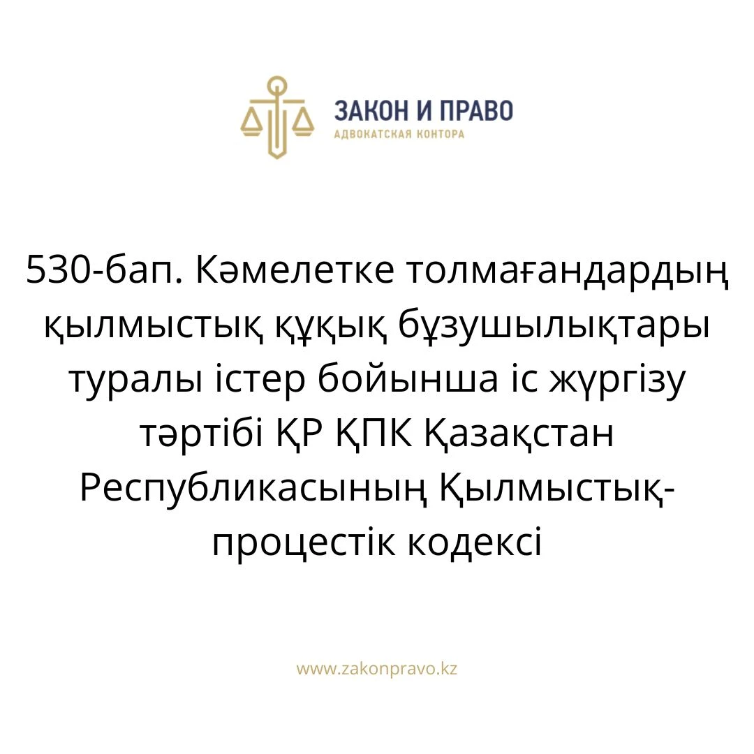 АMANAT партиясы және Заң және Құқық адвокаттық кеңсесінің серіктестігі аясында елге тегін заң көмегі көрсетілді