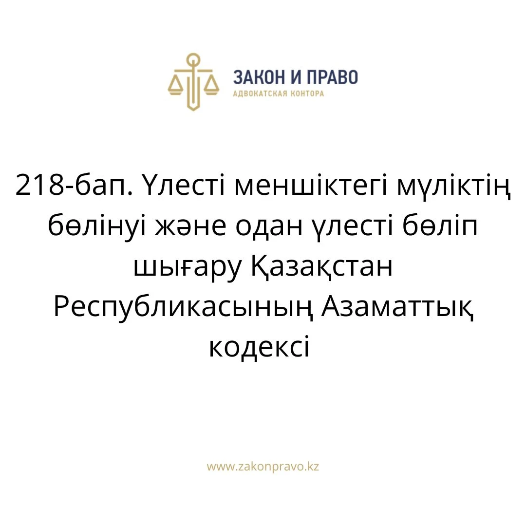 АMANAT партиясы және Заң және Құқық адвокаттық кеңсесінің серіктестігі аясында елге тегін заң көмегі көрсетілді