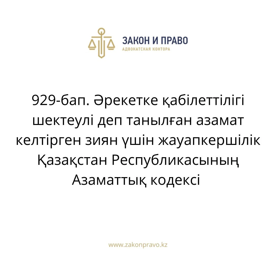 АMANAT партиясы және Заң және Құқық адвокаттық кеңсесінің серіктестігі аясында елге тегін заң көмегі көрсетілді