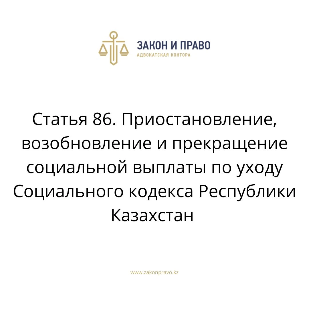 Article 86. Suspension, resumption and termination of social care ...