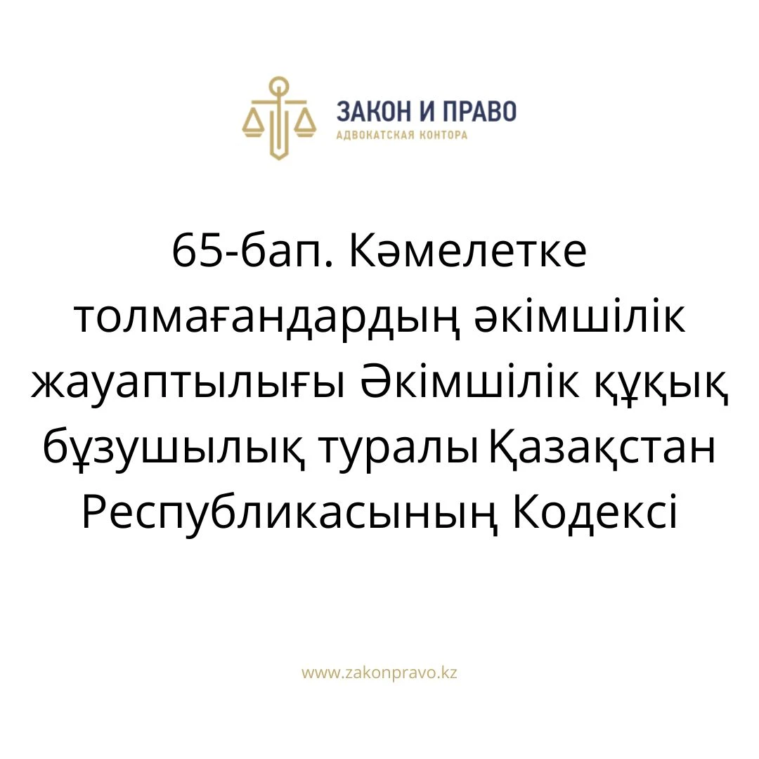 АMANAT партиясы және Заң және Құқық адвокаттық кеңсесінің серіктестігі аясында елге тегін заң көмегі көрсетілді