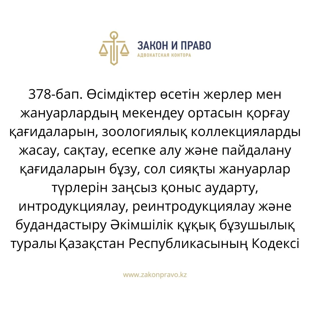 АMANAT партиясы және Заң және Құқық адвокаттық кеңсесінің серіктестігі аясында елге тегін заң көмегі көрсетілді