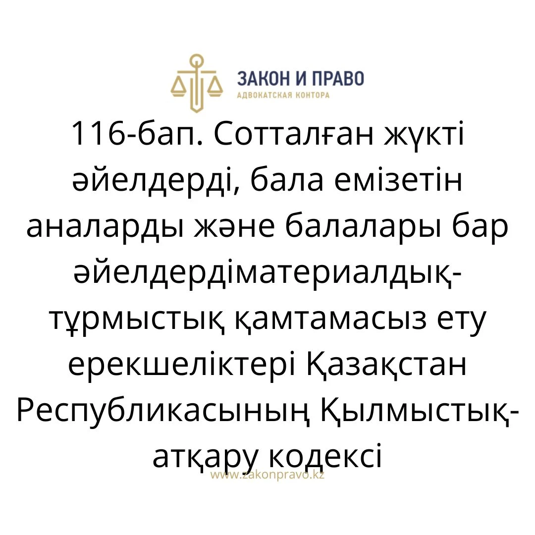 АMANAT партиясы және Заң және Құқық адвокаттық кеңсесінің серіктестігі аясында елге тегін заң көмегі көрсетілді
