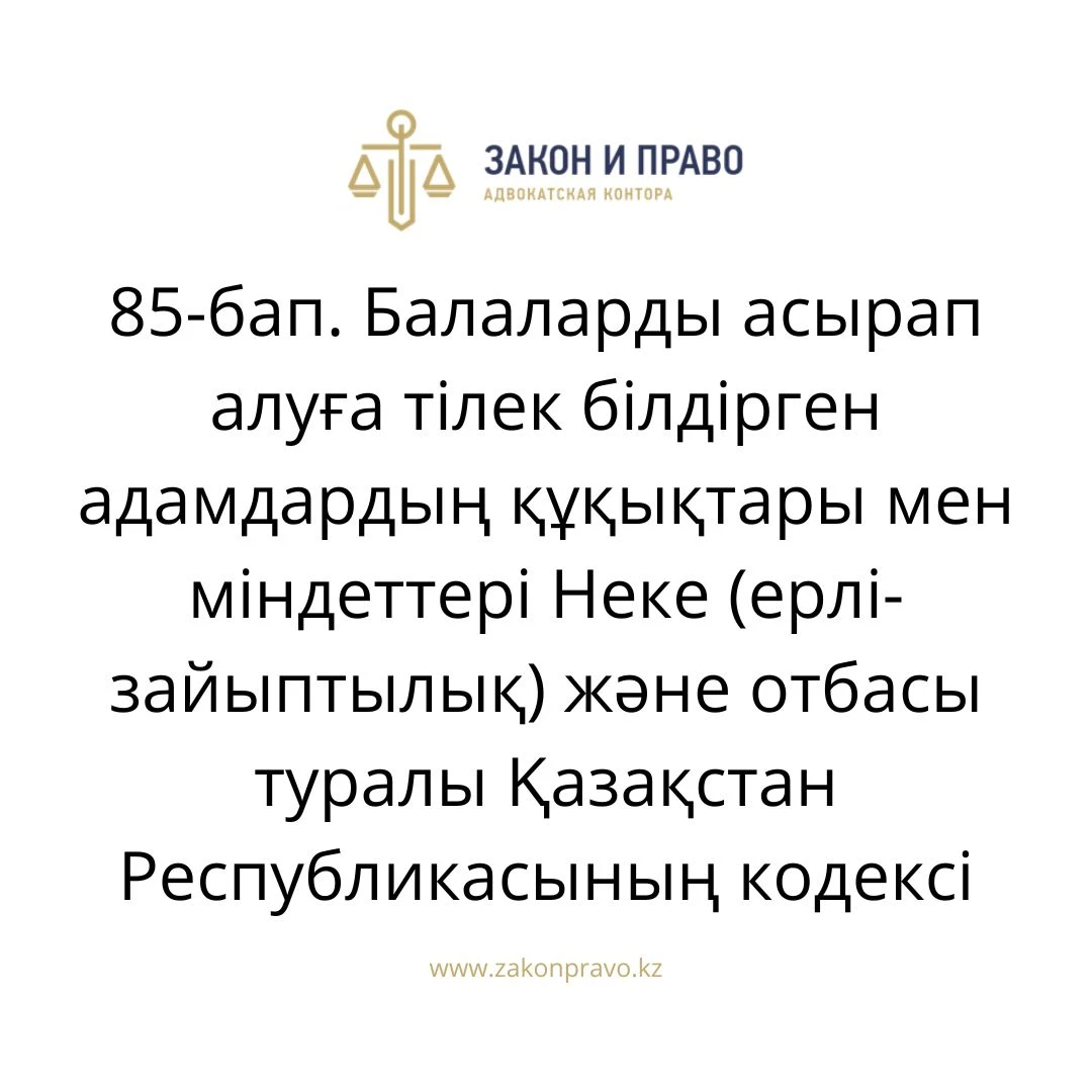 АMANAT партиясы және Заң және Құқық адвокаттық кеңсесінің серіктестігі аясында елге тегін заң көмегі көрсетілді