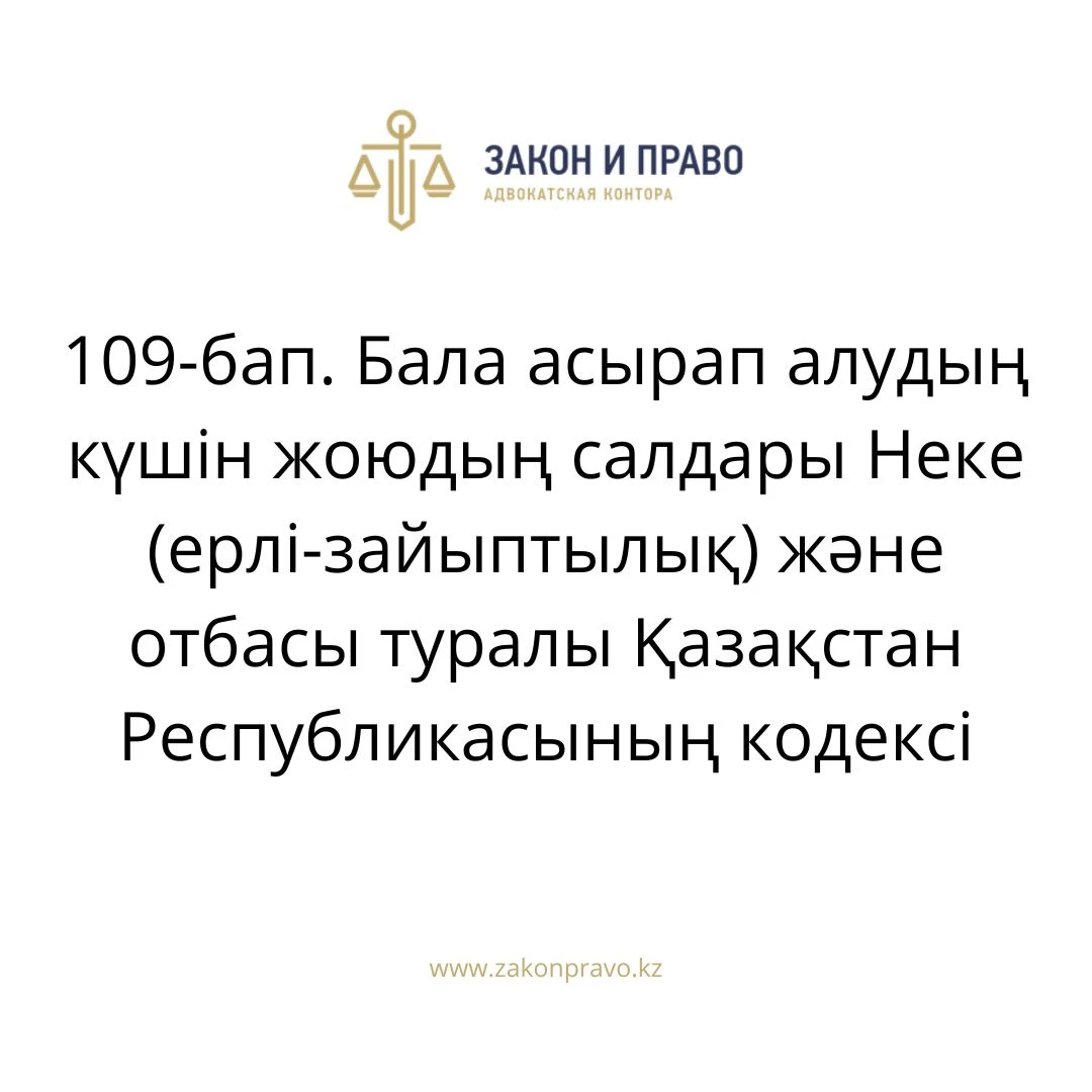 АMANAT партиясы және Заң және Құқық адвокаттық кеңсесінің серіктестігі аясында елге тегін заң көмегі көрсетілді