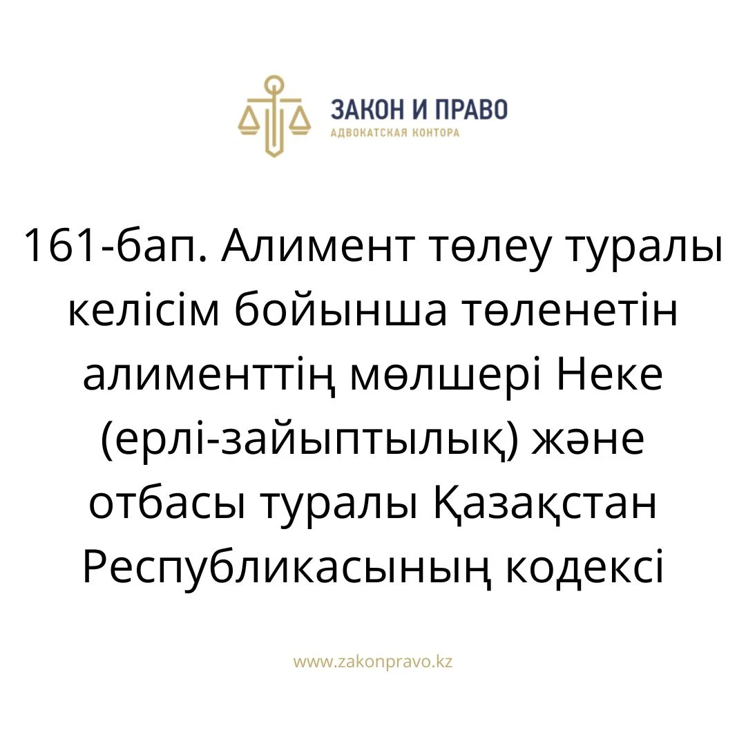 АMANAT партиясы және Заң және Құқық адвокаттық кеңсесінің серіктестігі аясында елге тегін заң көмегі көрсетілді