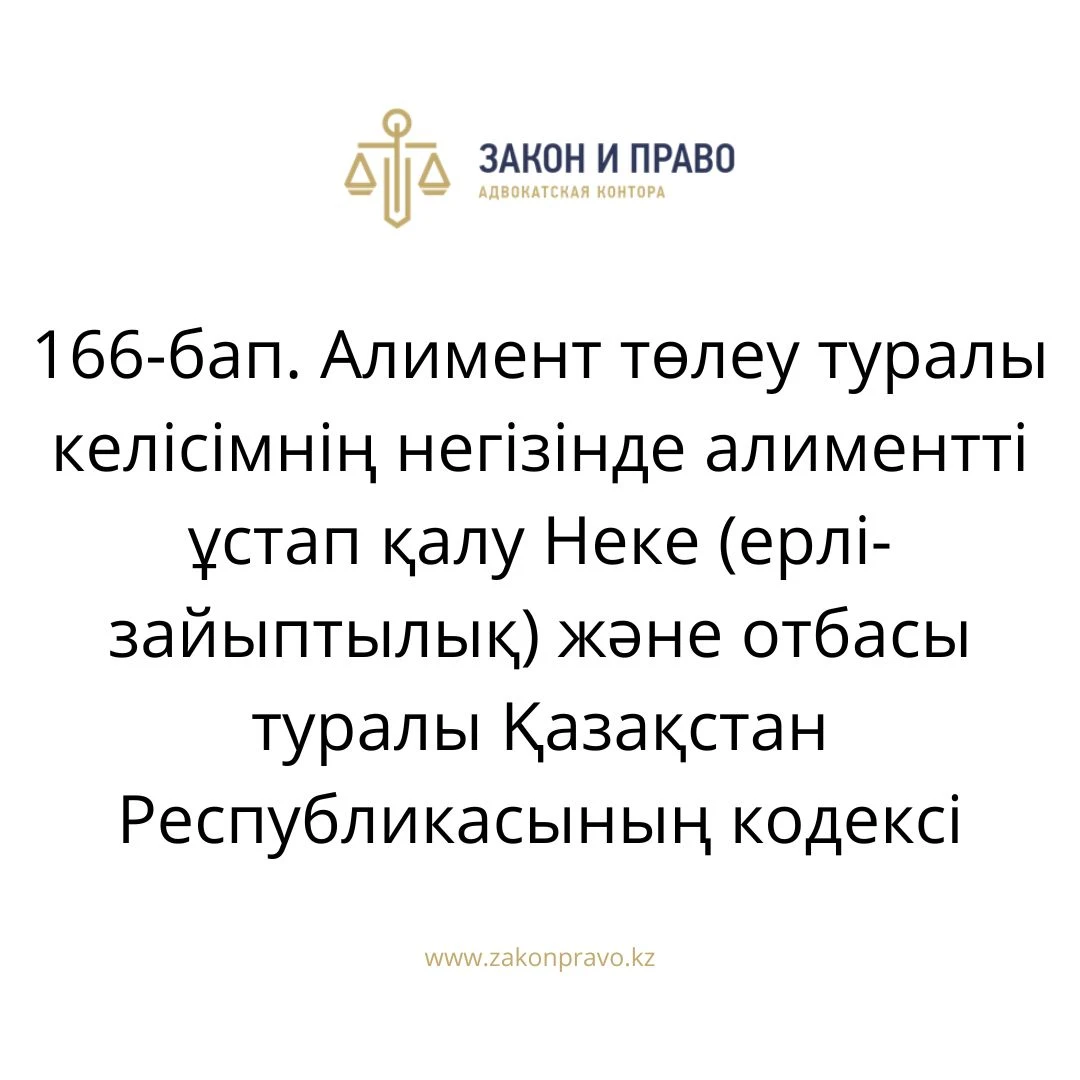 АMANAT партиясы және Заң және Құқық адвокаттық кеңсесінің серіктестігі аясында елге тегін заң көмегі көрсетілді