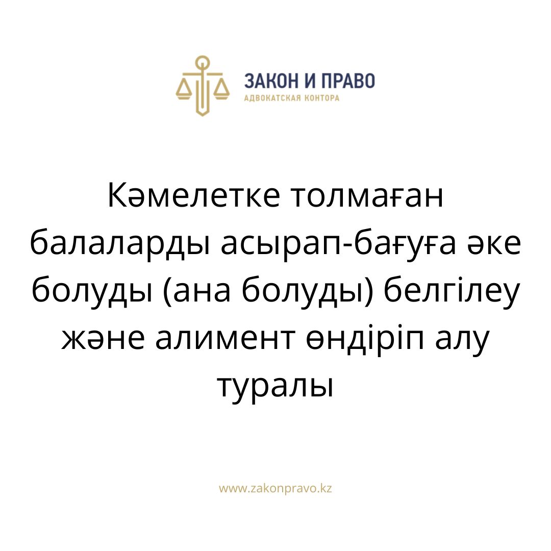 АMANAT партиясы және Заң және Құқық адвокаттық кеңсесінің серіктестігі аясында елге тегін заң көмегі көрсетілді