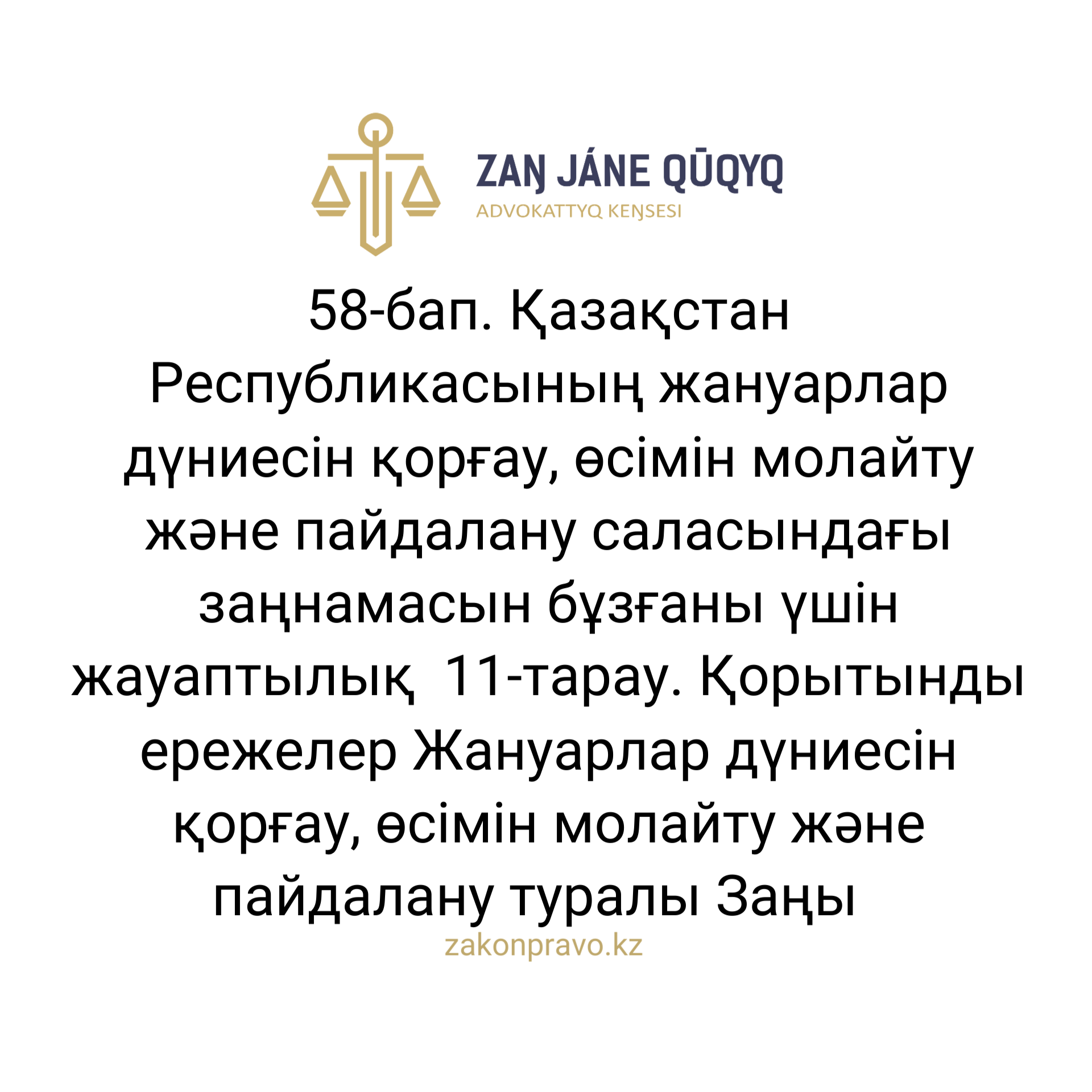 АMANAT партиясы және Заң және Құқық адвокаттық кеңсесінің серіктестігі аясында елге тегін заң көмегі көрсетілді