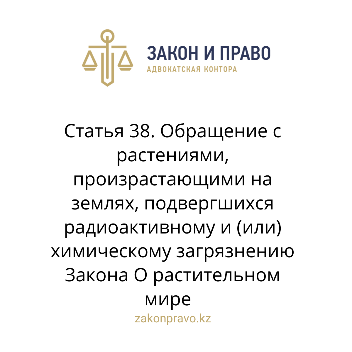 АMANAT партиясы және Заң және Құқық адвокаттық кеңсесінің серіктестігі аясында елге тегін заң көмегі көрсетілді