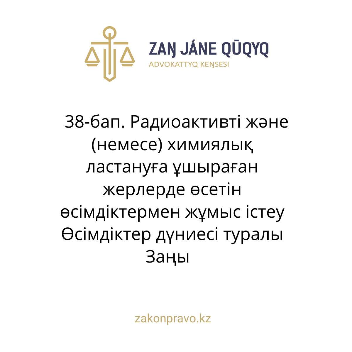 АMANAT партиясы және Заң және Құқық адвокаттық кеңсесінің серіктестігі аясында елге тегін заң көмегі көрсетілді