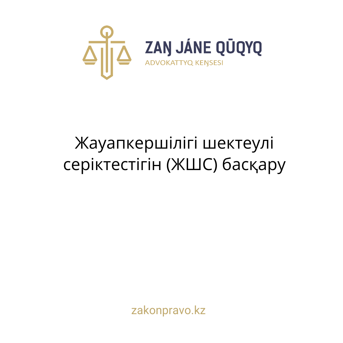 Жауапкершілігі шектеулі серіктестігін (ЖШС) басқару