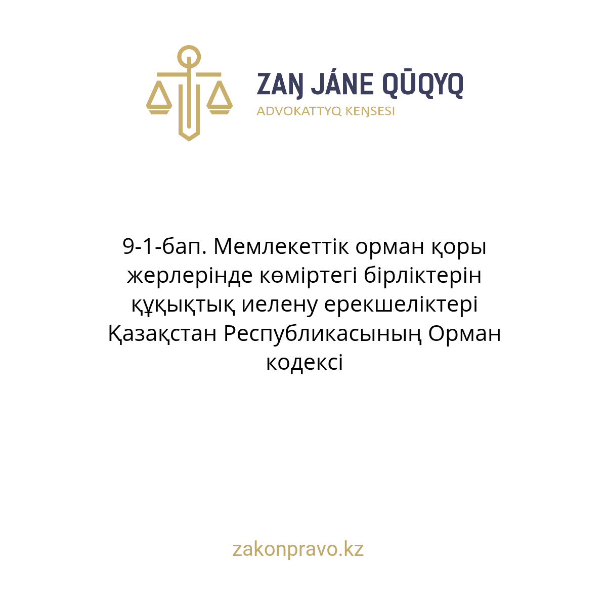 АMANAT партиясы және Заң және Құқық адвокаттық кеңсесінің серіктестігі аясында елге тегін заң көмегі көрсетілді